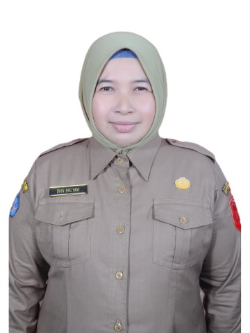 Dian Erliyani, S. Pd                